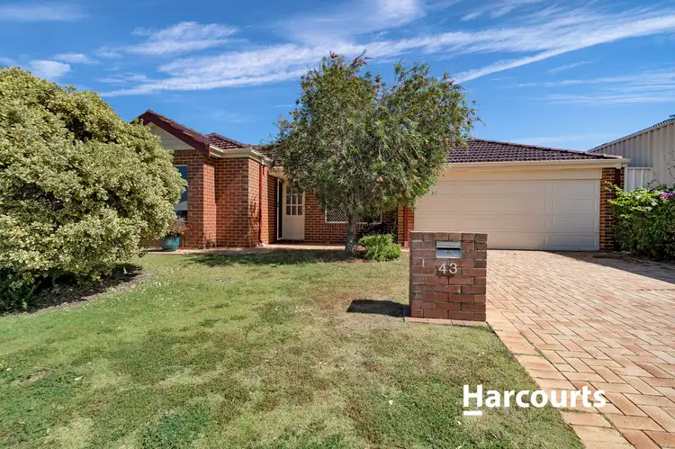 Fifth view of Homely house listing, 43 Barmouth Loop, Butler WA 6036