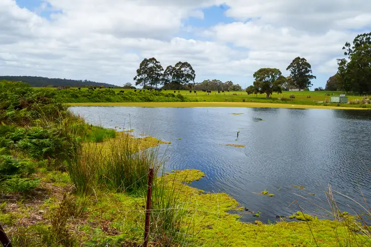 Fourth view of Homely rural property listing, 194 Double Bridge Road (Meerup), Northcliffe WA 6262