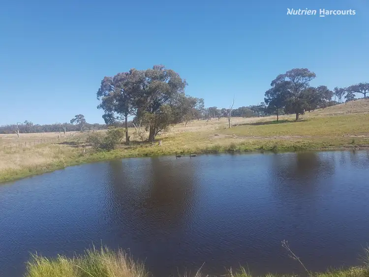 Second view of Homely rural property listing, 4521 Kings Plains Road, Wellingrove NSW 2370