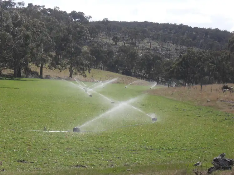 Fifth view of Homely rural property listing, 4521 Kings Plains Road, Wellingrove NSW 2370