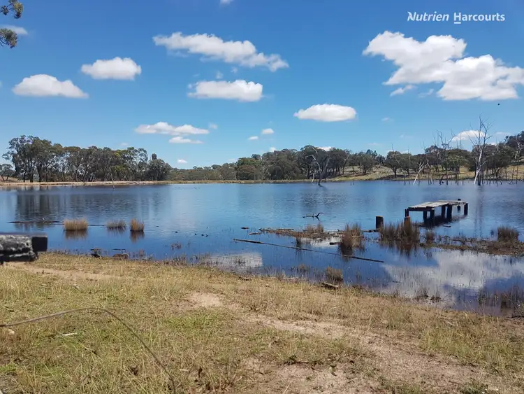 Sixth view of Homely rural property listing, 4521 Kings Plains Road, Wellingrove NSW 2370