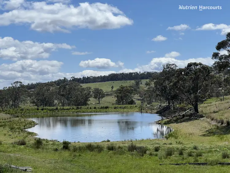 Seventh view of Homely rural property listing, 4521 Kings Plains Road, Wellingrove NSW 2370