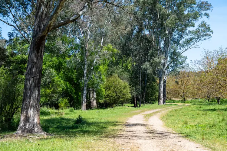 Third view of Homely rural property listing, 55 Merri Meadows Lane, Merriang South VIC 3737