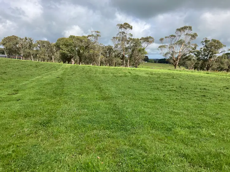 Main view of Homely land listing, 163 Curdies River Road, Timboon West VIC 3268