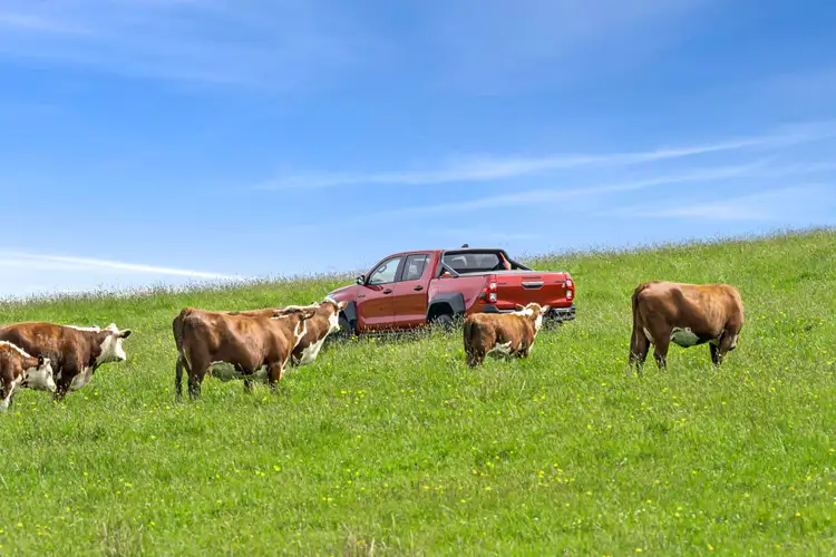 Sixth view of Homely rural property listing, 2369 Cobden - Port Campbell Road, Port Campbell VIC 3269