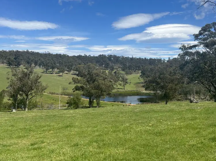 Main view of Homely rural property listing, 415 Buckland Road, Buckland TAS 7190
