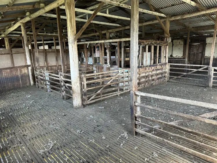 Second view of Homely rural property listing, 415 Buckland Road, Buckland TAS 7190