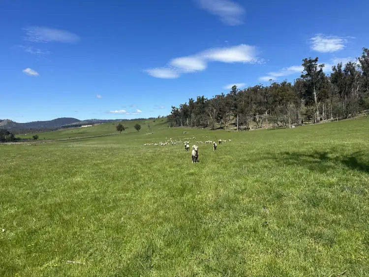 Fourth view of Homely rural property listing, 415 Buckland Road, Buckland TAS 7190