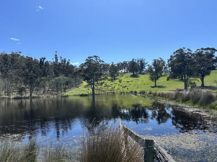 Fifth view of Homely rural property listing, 415 Buckland Road, Buckland TAS 7190