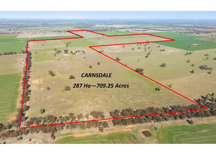 Main view of Homely rural property listing, 1624 Osborne Yerong Creek Road, Yerong Creek NSW 2642