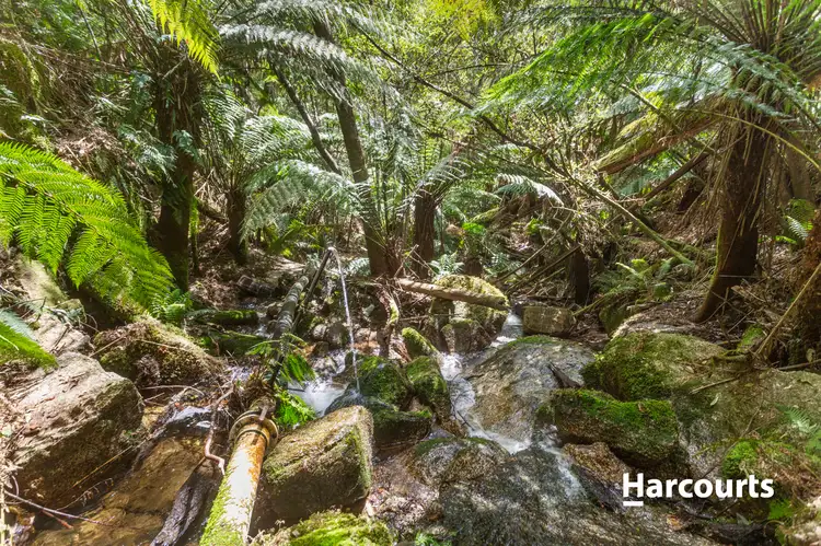 Second view of Homely rural property listing, 429 Maurice Road, Trenah TAS 7263
