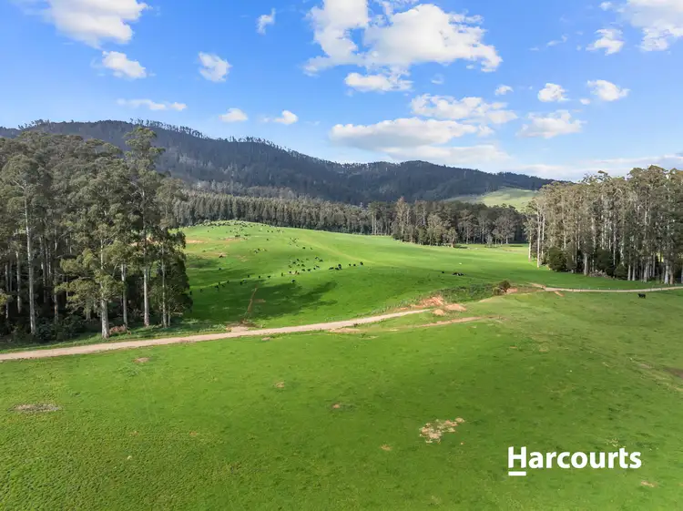 Third view of Homely rural property listing, 429 Maurice Road, Trenah TAS 7263