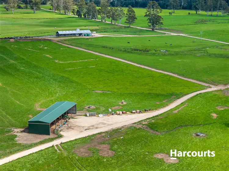 Fourth view of Homely rural property listing, 429 Maurice Road, Trenah TAS 7263
