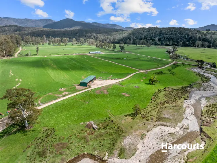 Fifth view of Homely rural property listing, 429 Maurice Road, Trenah TAS 7263