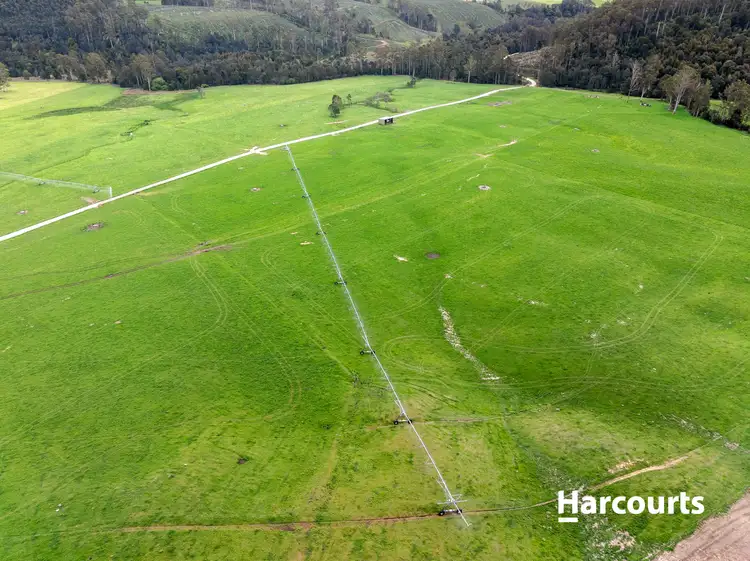 Sixth view of Homely rural property listing, 429 Maurice Road, Trenah TAS 7263