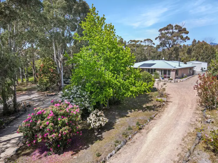 Second view of Homely rural property listing, 25 Upper Scamander Road, Scamander TAS 7215