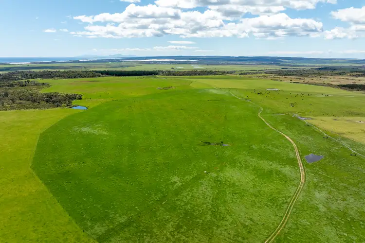 Fifth view of Homely rural property listing, . Waterhouse Road, Boobyalla TAS 7264