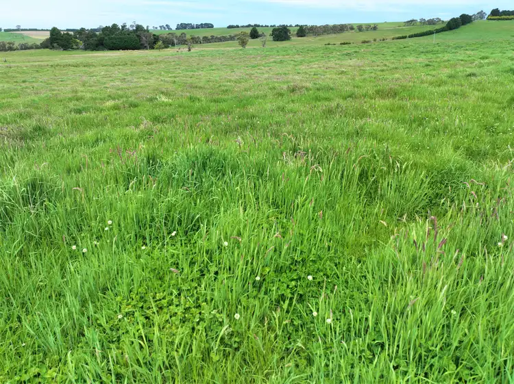 Sixth view of Homely rural property listing, 253 McAlister Road Laggan/, Crookwell NSW 2583