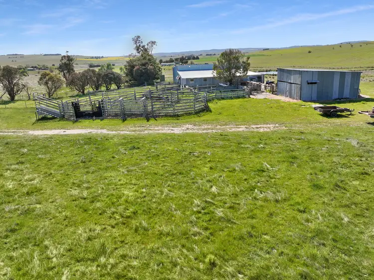 Third view of Homely rural property listing, Lot 206 Delegate Road, Delegate NSW 2633