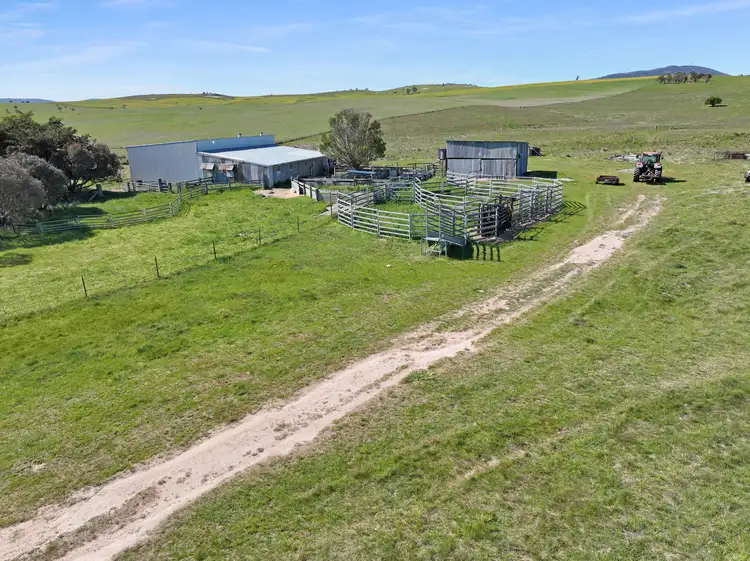 Fourth view of Homely rural property listing, Lot 206 Delegate Road, Delegate NSW 2633