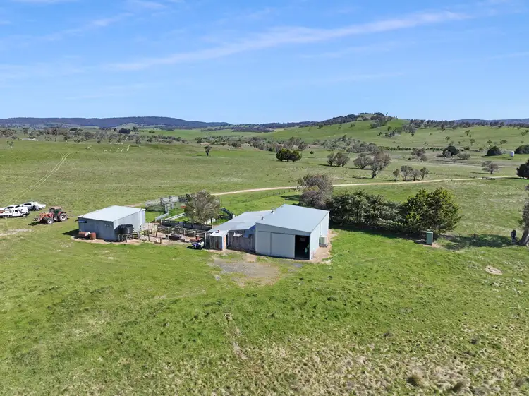 Sixth view of Homely rural property listing, Lot 206 Delegate Road, Delegate NSW 2633