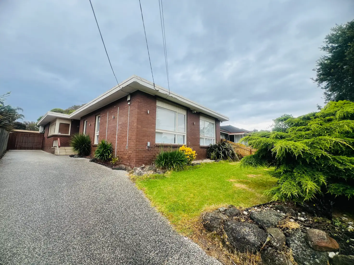 Main view of Homely house listing, 16 Cosgrove Street, Vermont VIC 3133