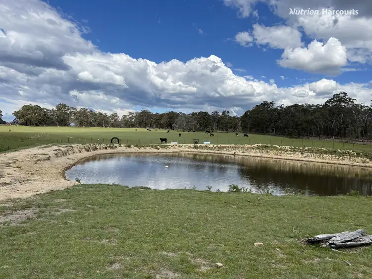 Main view of Homely rural property listing, 618 Coopers Road, Red Range NSW 2370