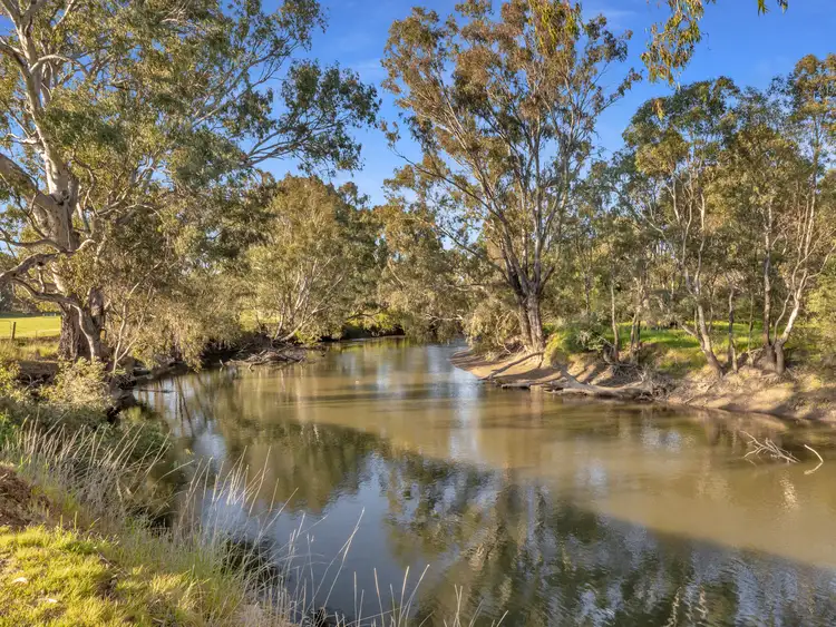 Third view of Homely house listing, 56 Cambridge Drive, Wangaratta VIC 3677