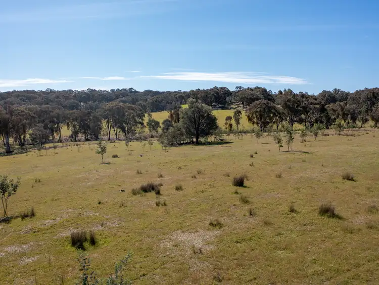 Fifth view of Homely rural property listing, 3/7 East Triangle Road, Byawatha VIC 3678