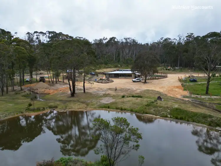 106 Warra Forest Road, Mount Mitchell NSW 2365