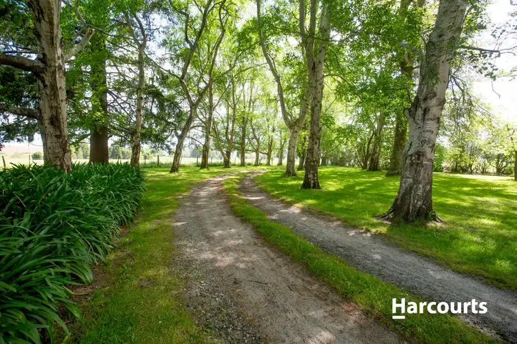Second view of Homely house listing, 460 South Springfield Road, South Springfield TAS 7260