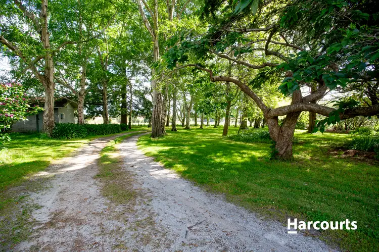 Fourth view of Homely house listing, 460 South Springfield Road, South Springfield TAS 7260
