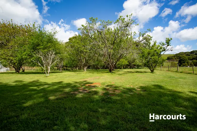 Fifth view of Homely house listing, 460 South Springfield Road, South Springfield TAS 7260