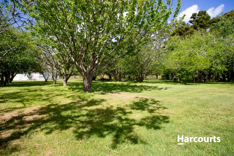 Sixth view of Homely house listing, 460 South Springfield Road, South Springfield TAS 7260