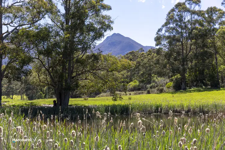 Seventh view of Homely land listing, LOT 3, (88) Jordans Road, Mountain River TAS 7109