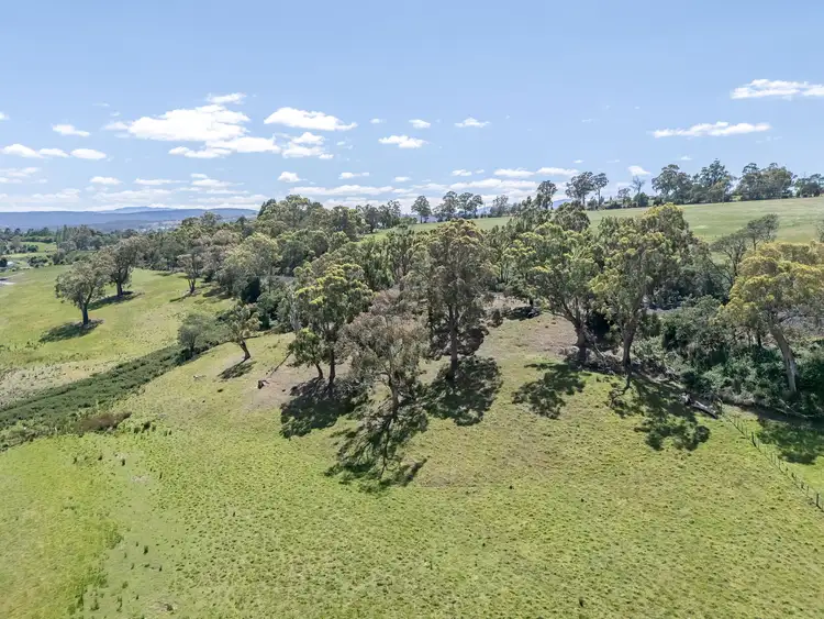 Fifth view of Homely rural property listing, 48 Redwood Crescent, Youngtown TAS 7249