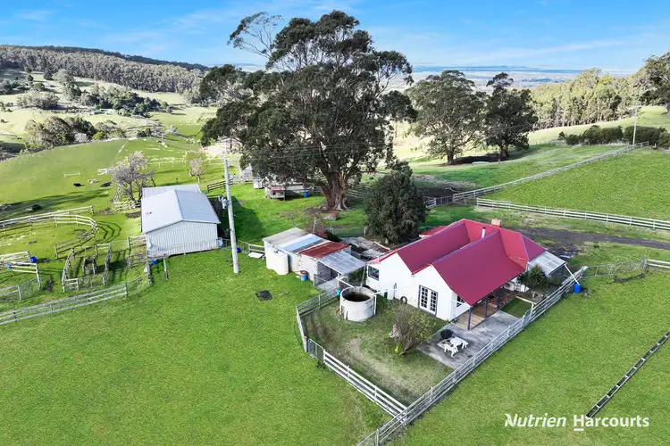 482 Old Whitelaws Track, Devon North VIC 3971