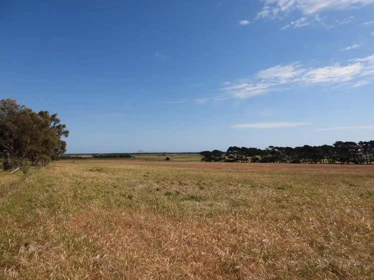 Fifth view of Homely rural property listing, PID 6428956 Thule Road, Whitemark TAS 7255