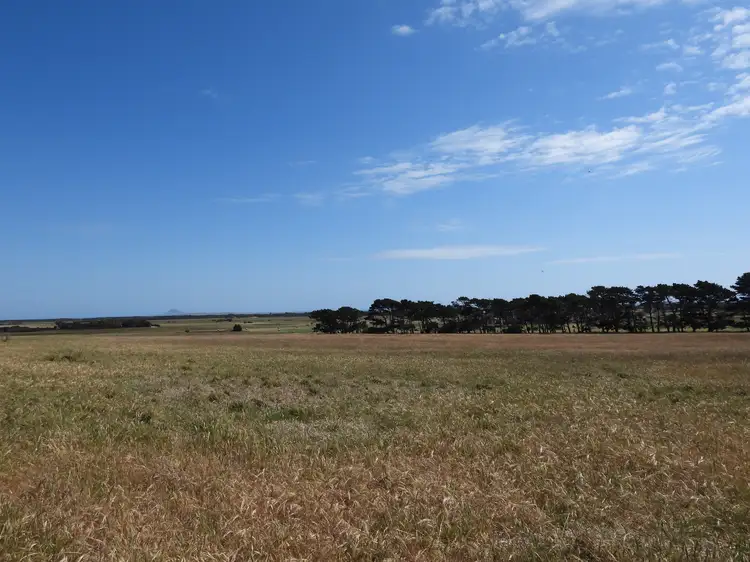 Sixth view of Homely rural property listing, PID 6428956 Thule Road, Whitemark TAS 7255