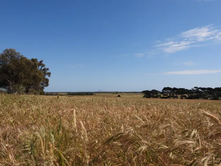 Seventh view of Homely rural property listing, PID 6428956 Thule Road, Whitemark TAS 7255