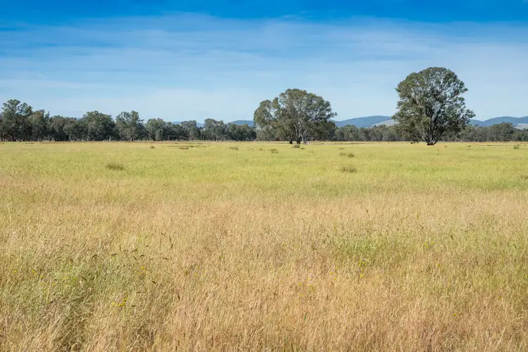 Seventh view of Homely rural property listing, CA29A Baddaginnie-Benalla Road, Baddaginnie VIC 3670