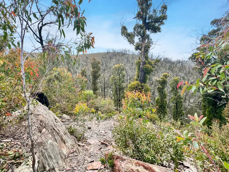 Third view of Homely land listing, Calders Gully Road, Mangana TAS 7214