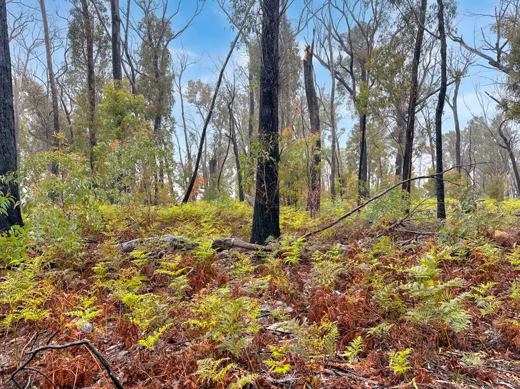 Fourth view of Homely land listing, Calders Gully Road, Mangana TAS 7214