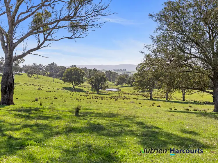 410 Guymers Road, Homewood VIC 3717
