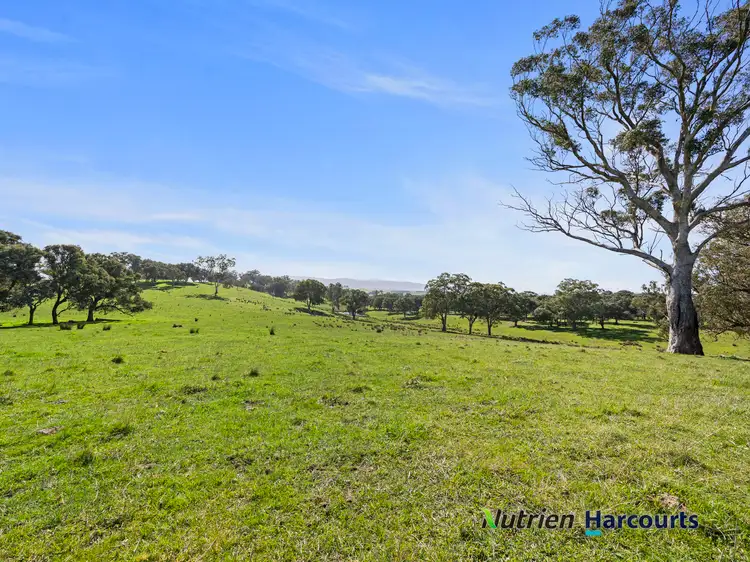 Second view of Homely rural property listing, 410 Guymers Road, Homewood VIC 3717