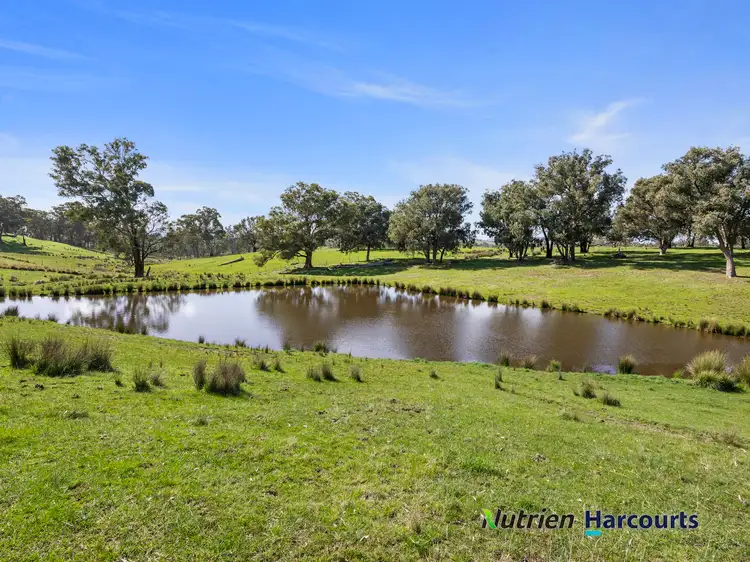 Third view of Homely rural property listing, 410 Guymers Road, Homewood VIC 3717