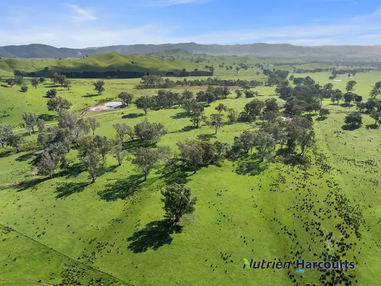 Fourth view of Homely rural property listing, 410 Guymers Road, Homewood VIC 3717