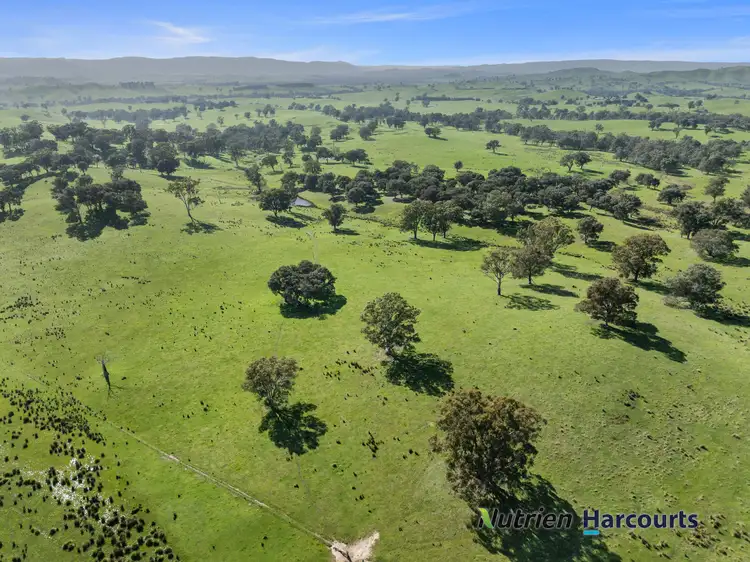 Fifth view of Homely rural property listing, 410 Guymers Road, Homewood VIC 3717