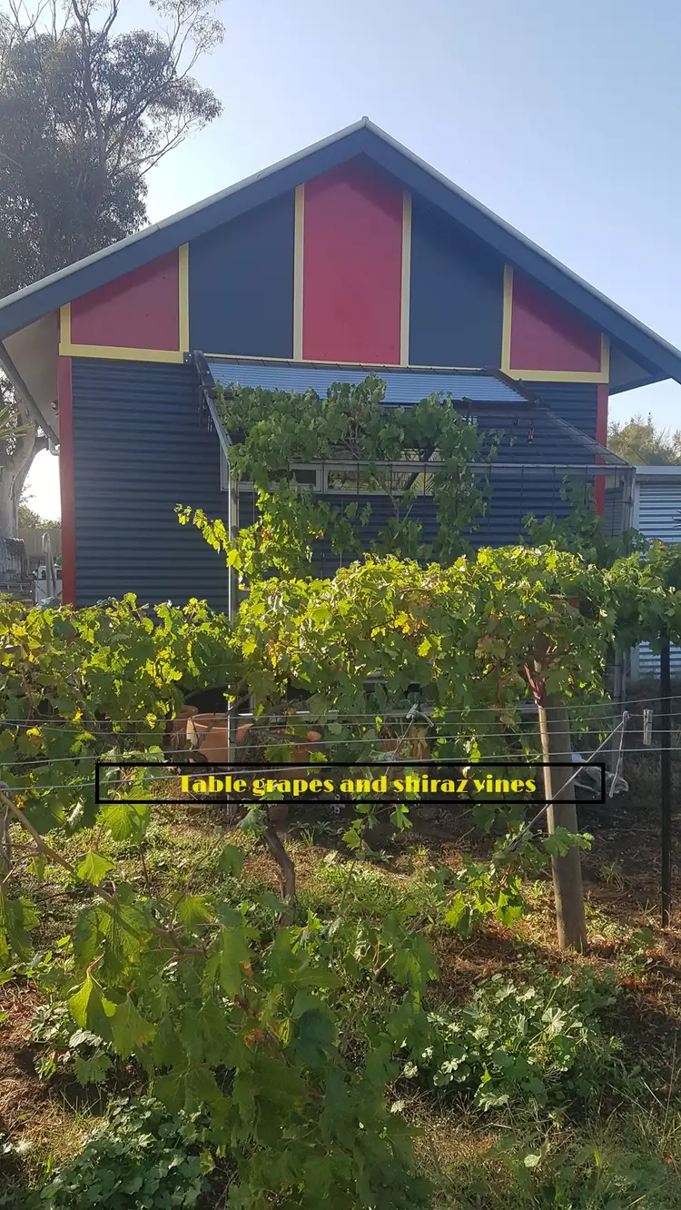10 Sherwood St, Birchip VIC 3483
