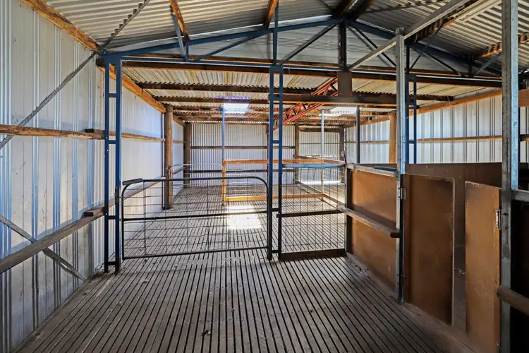 Sixth view of Homely rural property listing, Lot 50 Delegate Road, Bombala NSW 2632